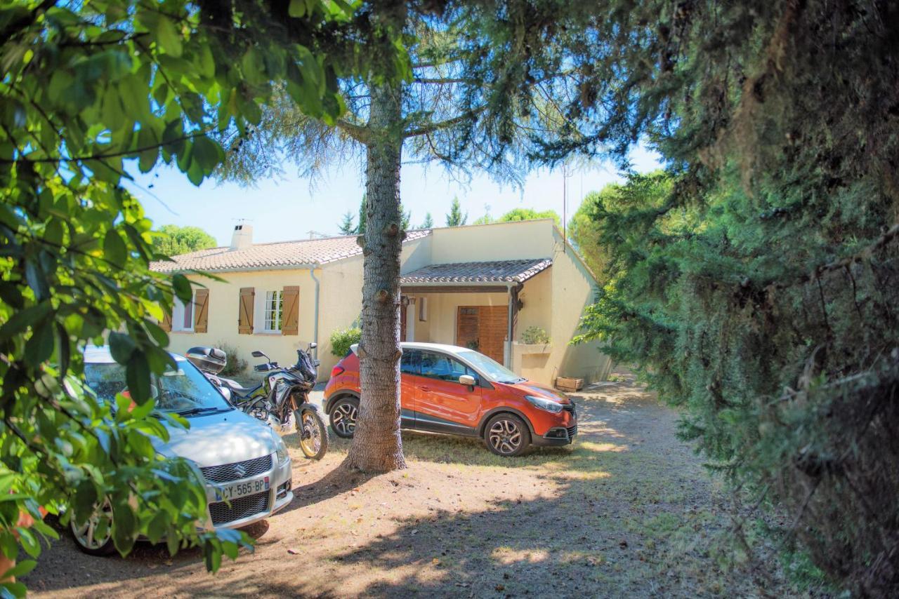 Villa 110M2, 7 Pers, Jacuzzi , 3 Chambres, Terrain Clos Et Arbore 2500M2 Trèbes Exterior foto